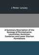 A Summary Description of the Geology of Pennsylvania: Laurentian, Huronian, Cambrian and Lower Silurian Formations, J Peter Lesley 