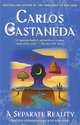 A Separate Reality: Further Conversations with Don Juan, Castaneda, Carlos 