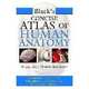 Concise Atlas of Human Anatomy, McCracken P. 