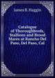Catalogue of Thoroughbreds, Stallions and Brood Mares at Rancho Del Paso, Del Paso, Cal, James B. Haggin 