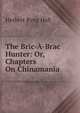 The Bric-A-Brac Hunter: Or, Chapters On Chinamania, Herbert Byng Hall 