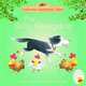 The Silly Sheepdog, Heather Amery 