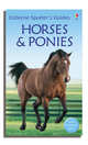 Horses and Ponies, Joanna Spector 