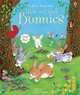 Hide and Seek Bunnies, Fiona Watt 
