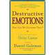 Destructive Emotions, Daniel Goleman 