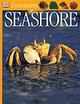 Seashore, 