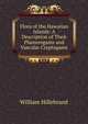 Flora of the Hawaiian Islands: A Description of Their Phanerogams and Vascular Cryptogams, William Hillebrand 