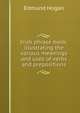 Irish phrase book: illustrating the various meanings and uses of verbs and prepositions, Edmund Hogan 