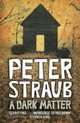 A Dark Matter, Straub, Peter 
