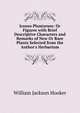 Icones Plantarum: Or Figures with Brief Descriptive Characters and Remarks of New Or Rare Plants Selected from the Author's Herbarium, Hooker William Jackson 