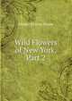 Wild Flowers of New York, Part 2, Homer Doliver House 