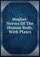 Hughes' Nerves Of The Human Body, With Plates, 