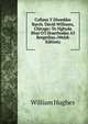 Cofiant Y Diweddar Barch. David Williams, Chicago: Yn Nghyda Rhai O'I Draethodau A'I Bregethau (Welsh Edition), Hughes William 