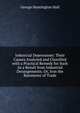 Industrial Depressions: Their Causes Analysed and Classified with a Practical Remedy for Such As a Result from Industrial Derangements; Or, Iron the Barometer of Trade, George Huntington Hull 