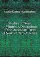 Studies of Trees in Winter: A Description of the Deciduous Trees of Northeastern America, Annie Oakes Huntington 