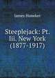 Steeplejack: Pt. Iii. New York (1877-1917), Huneker James 