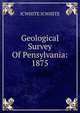 Geological Survey Of Pensylvania: 1875, ICWHITE ICWHITE 