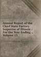 Annual Report of the Chief State Factory Inspector of Illinois .: For the Year Ending ., Volume 13, 