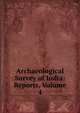 Archaeological Survey of India: Reports, Volume 4, 