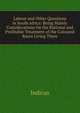 Labour and Other Questions in South Africa: Being Mainly Considerations On the Rational and Profitable Treatment of the Coloured Races Living There, Indicus 