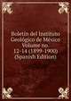 Boletin del Instituto Geologico de Mexico Volume no. 12-14 (1899-1900) (Spanish Edition), 