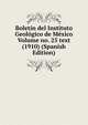Boletin del Instituto Geologico de Mexico Volume no. 25 text (1910) (Spanish Edition), 
