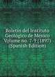 Boletin del Instituto Geologico de Mexico Volume no. 7-9 (1897) (Spanish Edition), 