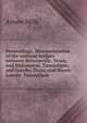 Proceedings. Monumentation of the railroad bridges between Brownsville, Texas, and Matamoros, Tamaulipas; and Laredo, Texas, and Nuevo Laredo, Tamaulipas, Anson Mills 