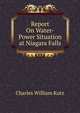 Report On Water-Power Situation at Niagara Falls, Charles William Kutz 