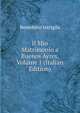 Il Mio Matrimonio a Buenos Ayres, Volume 1 (Italian Edition), Benedetto Intrigila 