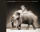 On This Earth: Photographs from East Africa, Brandt Nick 