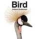 Bird by Andrew Zuckerman, Zuckerman Andrew 