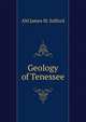 Geology of Tenessee, AM James M. Safford 