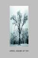 Ansel Adams at 100, Szarkowski John 