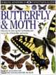 Butterfly & Moth, Paul Whalley 