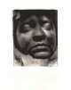 Shooting Blind, Edward Hoagland 