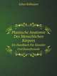Plastische Anatomie Des Menschlichen Krpers. Ein Handbuch Fr Knstler Und Kunstfreunde, Julius Kollmann 