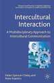 Intercultural Interaction: A Multidisciplinary Approach to Intercultural Communication, Spencer-Oatey H. et al 