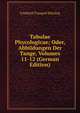 Tabulae Phycologicae; Oder, Abbildungen Der Tange, Volumes 11-12 (German Edition), Friedrich Traugott Kutzing 