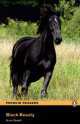 Black Beauty, Anna Sewell 