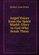 Angel Voices from the Spirit World: Glory to God Who Sends Them, James Lawrence 