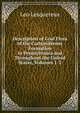 Description of Coal Flora of the Carboniferous Formation in Pennsylvania and Throughout the United States, Volumes 1-2, Leo Lesquereux 