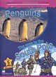 MCR5 Penguins / The Race to the South Pole, Reimer Luther 