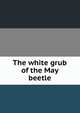 The white grub of the May beetle, 