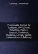 Promenade Autour De L'afrique, 1907; Syrie, Palestine, Egypte, Soudan, Transvaal, Rhodesie, Le Cap, Sainte-Helene (French Edition), Lothaire Loewenbach 