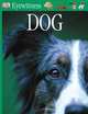 Dog, 