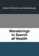 Wanderings in Search of Health, Albert Denison Londesborough 