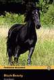 PR2 Black Beauty, Sewell, Anna 
