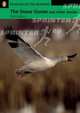 Penguin Active Reading 3: The Snow Goose and Other Stories (+ CD-ROM), Paul Gallico 