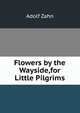Flowers by the Wayside,for Little Pilgrims, Adolf Zahn 